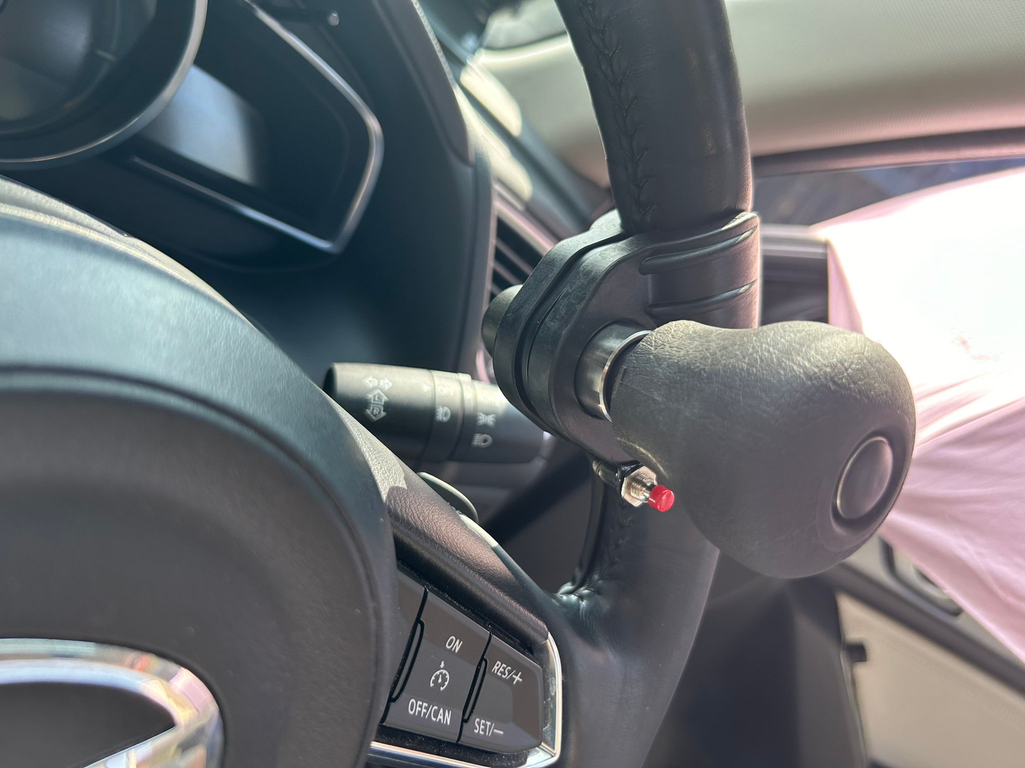 Spinner Knob with Horn 